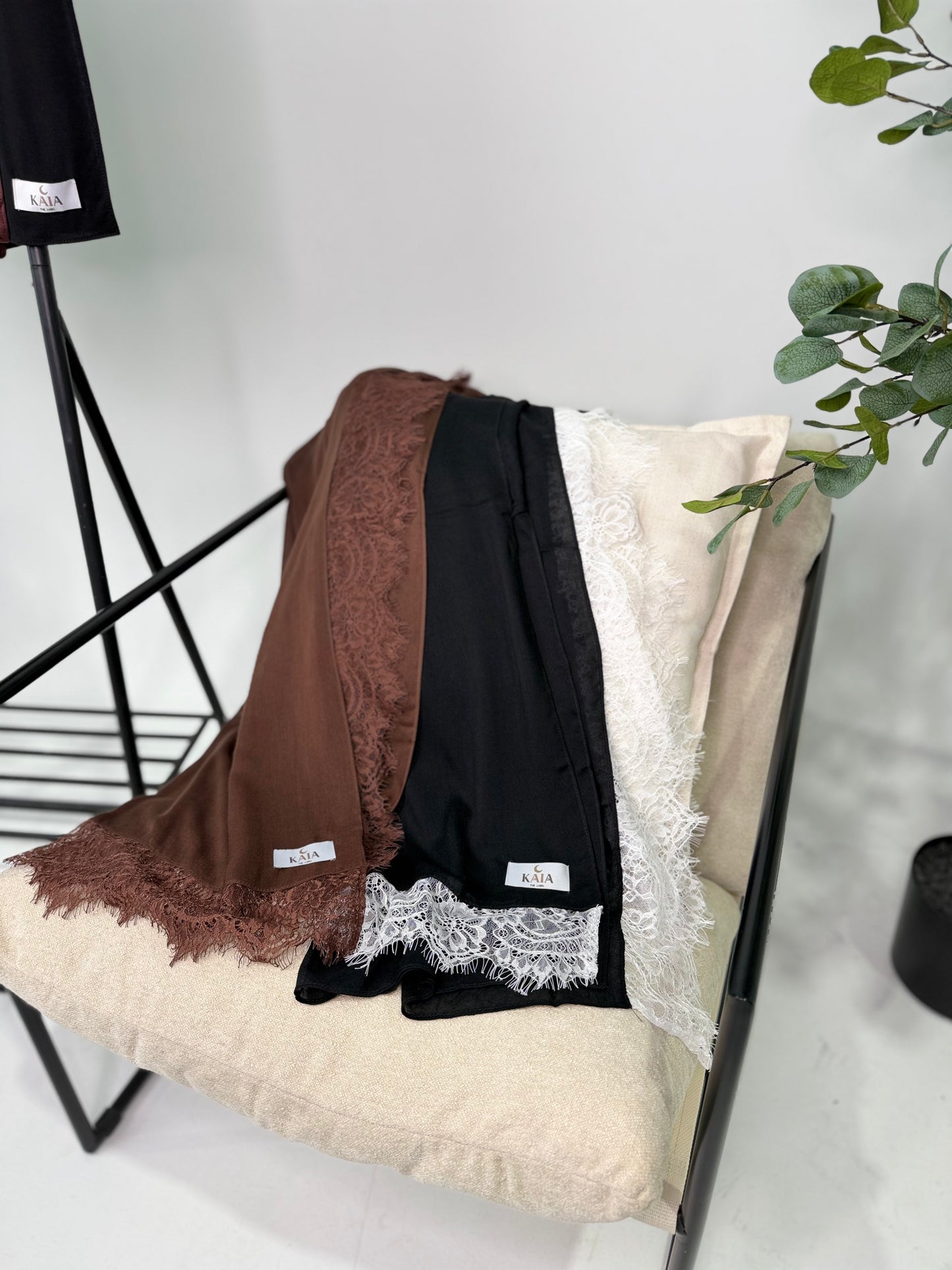 Eclipse- Lace Modal